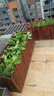 冠乐家 花箱防腐实木花箱碳化木长方形花盆户外庭院种植箱工程松木花槽 长宽高(cm)：150*50*50 实拍图