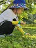 伊米伦防紫外线儿童帽子夏季防晒帽宝宝遮阳帽薄款透气网眼帽男童渔夫帽 上青动物园-防紫外线 54CM建议4-8岁 实拍图