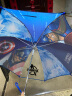 迪士尼（Disney）儿童雨伞男孩创意卡通伞小学生直杆伞女孩幼儿园可爱雨伞环保童伞 蓝色-实发蜘蛛侠 实拍图