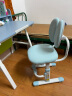 益威（EIEV） 儿童学习椅可升降学生椅子儿童写字椅 儿童矫姿椅学生座椅家用电脑椅 王子蓝-正姿增高脚踏款 实拍图