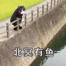 毛线球4：超柔软马海毛编织之旅 实拍图