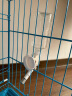 利其尔Richell狗狗悬挂式饮水器宠物猫咪喝水嘴围栏笼子自动喂水头 白色 单口 晒单实拍图