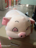 GONGZHUXIONG毛绒玩具公仔抱枕长条睡觉枕头布娃娃女孩布偶儿童玩偶生日礼物 粉色猪 50厘米 实拍图