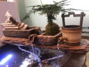 家和春天 景德镇陶瓷金鱼缸特大号庭院门海睡莲荷花缸老式鱼缸流水摆件 80板+流水+鸭（适合80-100缸） 实拍图