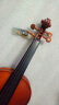 红棉（Kapok）小提琴成人练习考级手工实木初学者专业级儿童入门 V235 1/4 身高125cm左右适用 实拍图