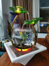 小池（XIAOCHI） 创意流水喷泉摆件办公室陶瓷桌面鱼缸家居客厅装饰水景开业礼品 214531+雾化器：长23宽23高35CM 实拍图
