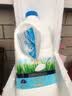 蒙牛自然风味酸奶1.1kg 水果捞用原味酸奶 大桶装 原味酸奶*1桶(保温箱+冰袋) 实拍图