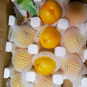 桃小蒙沂蒙山黄桃 新鲜水果蒙阴黄金油桃 生鲜当季鲜果桃子 4.5斤 实拍图