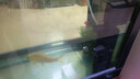 闽江水族（minjiangshuizu）鱼缸过滤器鱼缸净水过滤器水族箱内置迷你增氧金鱼金龙 1001F含滤棉和滤材  10W 实拍图