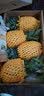 海南金钻凤梨皮薄眼小多汁新鲜带叶树熟当季现摘应季水果lzx 8斤礼盒装（约3-6个） 实拍图