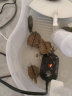 蟹爱（xieai）越南种南石龟金钱黄喉苗活体龟宠物乌龟 16-30克  二只 盒装 实拍图