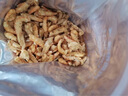 BESSN南极磷虾干龟粮鱼粮银龙鱼专用血鹦鹉罗汉地图发财热带鱼食鱼饲料 天然南极磷虾 3L桶装+1L袋装 实拍图
