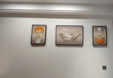 Sixpoetry 客厅装饰画现代简约沙发背景墙壁画轻奢三联晶瓷画大气高档挂画 福禄生花（铝合金外框） 晶瓷画左右35*50+中间70*50亮面 实拍图