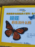美国国家地理经典小百科3-6岁 虫虫百科 蝴蝶 蜘蛛 蚂蚁 蜜蜂 蜻蜓 蚱蜢（全6册） 实拍图