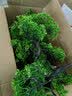 礼赫家饰  仿真绿植迎客松假花假树盆栽仿真花摆件客厅摆设装饰盆景塑料花 三叉绿色迎客松套装 实拍图
