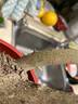 黄荆桩老桩黄荆盆景熟桩树桩根雕舍利黄荆室内绿植办公室盆栽庭院盆景疙瘩老桩 精选3-4枝黄荆老桩随机发 不含盆 实拍图