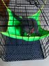 憨憨宠 猫笼 折叠猫笼子带厕所猫别墅幼猫成猫猫舍猫窝双层猫咪笼子 黑色600双层 实拍图