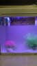 博宇（BOYU）鱼缸水族箱增氧生态鱼缸带柜子客厅家用小金鱼缸玻璃造景吧台地柜 MS-220懒人鱼缸 白色鱼缸+加热棒（暖冬福利） 实拍图