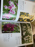 月季新手百科 玫瑰月季的种植、修建、造型 中信出版社 实拍图