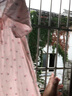 眠岛新款睡裙女夏季短袖韩版纯棉纱布大码半袖甜美少女全棉碎花中裙 小雏菊 粉色 S 实拍图