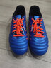 KELME/卡尔美青少年足球鞋男AG短钉成人比赛球鞋68833126 宝蓝 40 实拍图
