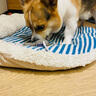 贵为（GiGwi）狗狗玩具耐咬松木毛绒帆布磨牙耐咬发声自嗨解闷幼犬小狗宠物玩具 呼啦圈-小象 实拍图