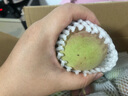 鸢语青州蜜桃 脆桃 冬雪蜜桃 小毛桃新 鲜水果 甜桃子 产地直发 1.5kg 实拍图