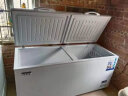 雪贝娜冰柜商用大容量全冷冻家用双温卧式冷柜展示柜商用冷柜 798单温【加大加宽 一机多用】 实拍图