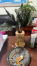 开时果 水培植物办公室内桌面盆栽 水养绿萝水生花植物绿植源头直发包邮 【2盆自选】组合水培植物 （加赠 营养液） 实拍图