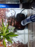 博特博特鱼缸变频水泵24v低压循环潜水泵降噪大流量底吸泵过滤抽水泵 【TS2代-3000】20档可调 实拍图