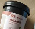 嘉宝莉（CARPOLY）水性木器漆油漆家具改色漆翻新漆地板木器修补入户门改色修复木门 透明底漆【防潮/封闭基材】 1KG 约刷4-5平米（送工具） 实拍图