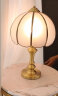 三洛（SANLUO）欧式全铜台灯卧室床头灯美式简约客厅书房酒店大厅装饰台地灯具 T028-1T+含三色LED灯泡 实拍图