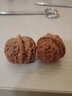 彩荷青皮文玩核桃野生麻核桃四座楼狮子头白狮子满天星盘龙纹官帽 四座楼狮子头 带皮尺寸50-51mm一对 实拍图