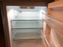尊贵（ZUNGUI）BCD-219W 219升卧式冰箱家用变频风冷无霜冰柜小型柜式双门橱柜嵌入式厨房矮电冰箱 雅稠棕 实拍图