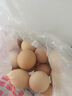 我老家新鲜大鹅蛋 农家自养土鹅蛋 现捡现发 鹅蛋12枚(120-140g) 实拍图