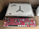 罗技（Logitech） K845 有线机械办公键盘 游戏电竞 朋克复古键盘外设电脑笔记本节日礼物 K845(茶轴) +口红佳人 实拍图