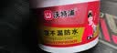 三青水性木器漆木门翻新漆木漆清漆室内家具改色漆木纹地板漆环保油漆 豆蔻绿 1kg【约刷5㎡/2遍】 实拍图