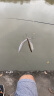 GW光威鱼竿剑手至尊3.6米强韧28调综合大物竿超轻超硬高碳素台钓竿 实拍图