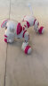 YIER儿童机器狗电动玩具狗遥控智能机器人男孩女孩会唱歌跳舞生日礼物 【编程模式+早教内容】特技狗 实拍图
