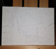 蒙玛特（Mont Marte） 油画套装 油画颜料100ml油画初学者油画板油画笔稀释剂油画箱 32色油画套装 晒单实拍图