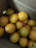 吉果叔 正宗广西茂谷柑 应当季新鲜水果薄皮脏脏柑橘石灰柑橘子整箱 净重4.5-5斤 【中大果】果径65-70mm 实拍图