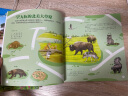 3-6岁 童眼识天下科普馆—美洲和大洋洲 早教启蒙 实拍图