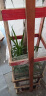 龙血树大型植物 室内盆栽卧室客厅办公室除甲醛多头老桩网红植物 老桩两层长叶150-160含白方瓷盆 含盆 晒单实拍图