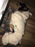 憨憨宠 狗狗衣服泰迪狗衣服中型犬柯基法斗衣服变身装宠物衣服猫咪衣服 奶油色小熊 XL 长38-40cm 建议11-15斤内 实拍图