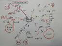 希腊神话与西方艺术：众神的样子+众神的星座（套装2册） 实拍图