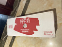 德亚（Weidendorf）德国进口高钙全脂纯牛奶200ml*30盒整箱装 学生营养早餐 实拍图