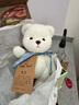 莉娜熊（TeddyTales）小熊玩偶毛绒玩具泰迪手作熊公仔娃娃生日礼物送女生 恐龙小奶白 搭配短毛崽崽 礼盒装 实拍图