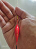 小凤仙鱼漂MQD-04鲫鱼混养漂纳米浮漂高灵敏加粗尾醒目鱼标近视浮漂渔具 实拍图