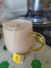 立顿Lipton  奶茶原料  红茶 茶叶 黄牌精选经典 办公室下午茶 袋泡茶包 独立纸包 2g*80包 实拍图