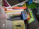 数学家教你学数学：罗素教你学命题和逻辑 实拍图